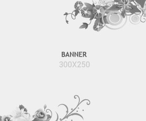 demo-banner-300x250