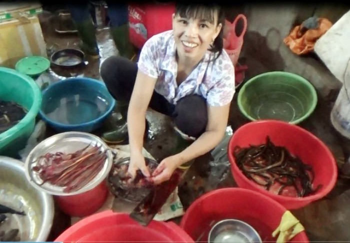 Nuoi+Luon+Thit Nuôi lươn bằng thuốc tránh thai khử thuốc tránh thai ở ...