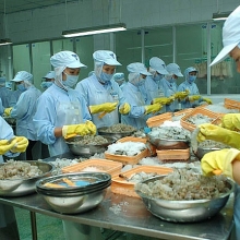 tai hoa khon luong