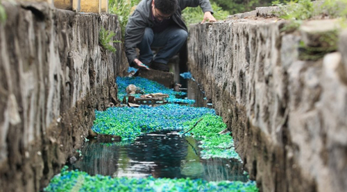 Trung Quốc: Vỏ thuốc con nhộng được làm từ rác thải