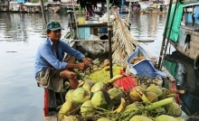 cho noi giua sai gon