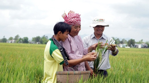 Đạm Cà Mau đưa 772.500 tấn ure ra thị trường, hoàn thành kế hoạch 2014 Đạm Cà Mau đưa 772.500 tấn ure ra thị trường, hoàn thành kế hoạch 2014