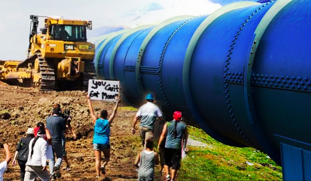 1249_pipeline-hault.jpg