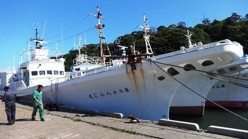 Tàu Đức Khải mua tại Nhật