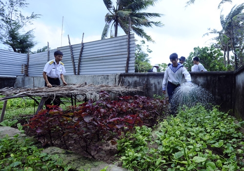 Bộ đội chăm chỉ nên vườn rau trên đảo luôn xanh, mặc cho mưa giông, bão lớn dập vùi.
