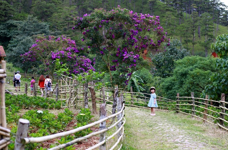 Có một ngôi làng đẹp như cổ tích gần Đà Lạt co mot ngoi lang dep nhu co tich gan da lat