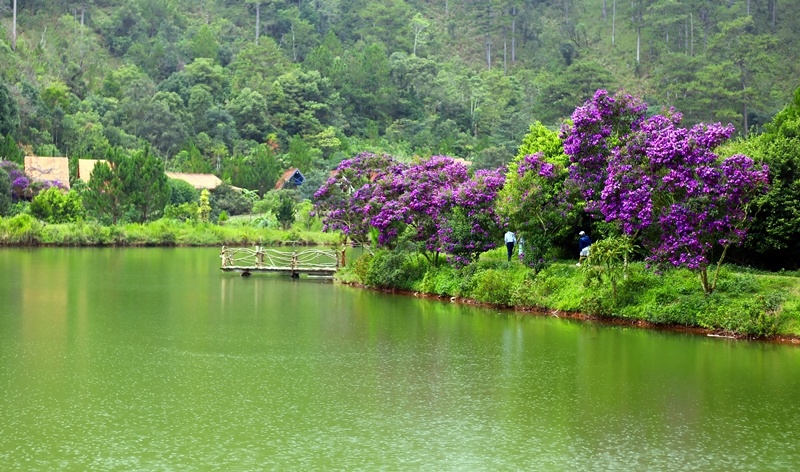Có một ngôi làng đẹp như cổ tích gần Đà Lạt co mot ngoi lang dep nhu co tich gan da lat