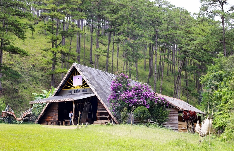 Có một ngôi làng đẹp như cổ tích gần Đà Lạt co mot ngoi lang dep nhu co tich gan da lat