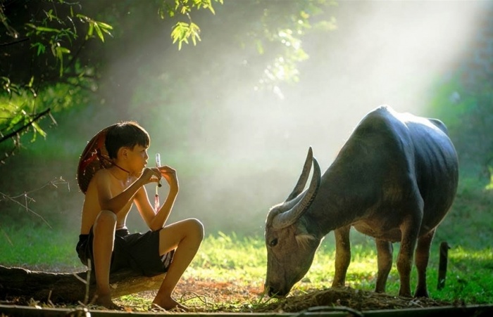Khám phá vẻ đẹp 'những nẻo đường đất nước' bên hồ Gươm kham pha ve dep nhung neo duong dat nuoc ben ho guom