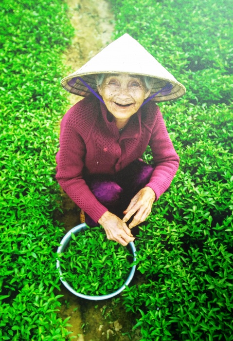 Khám phá “Vẻ đẹp không tuổi” của phụ nữ Việt Nam kham pha ve dep khong tuoi cua phu nu viet nam