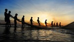 Cả nước có 36 nghiệp đoàn nghề cá