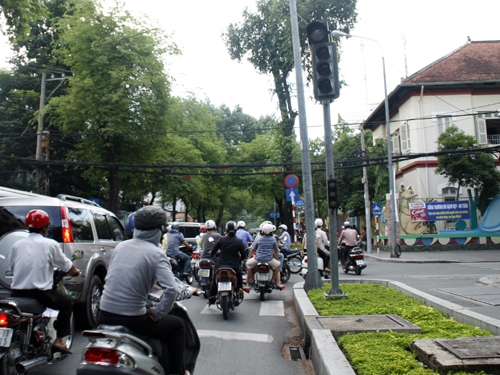 Miền Nam mất điện là do cây đổ vào đường dây 500 kV