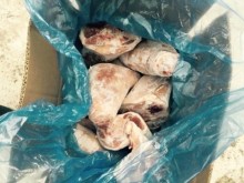 Phát hiện 5 tấn chân giò đông lạnh không kiểm dịch