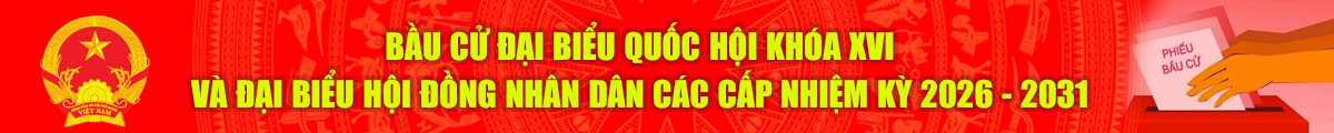 bau-cu-dai-bieu-quoc-hoi-khoa-xvi-mobile