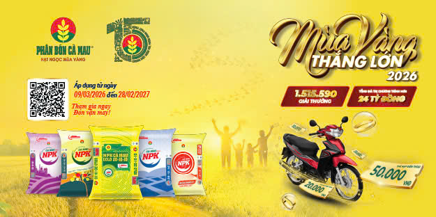 phan-bon-ca-mau-15-nam-mua-vang-thang-lon