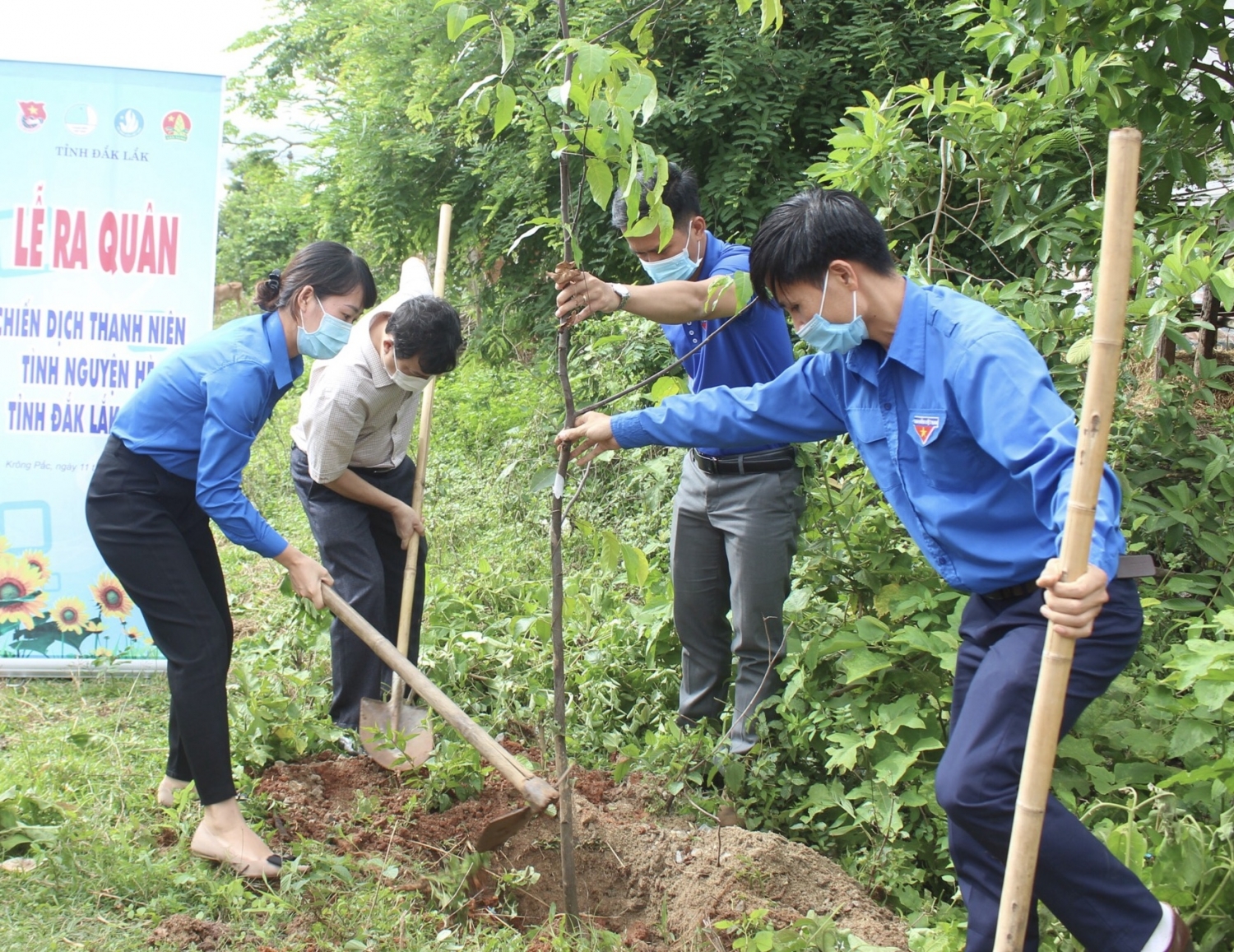 Vì một Việt Nam xanh: Trồng mới 60.000 cây rừng đầu nguồn