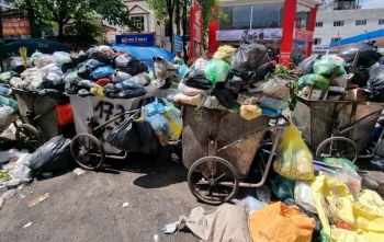 Hà Nội: Yêu cầu thu gom, xử lý toàn bộ rác thải ùn ứ
