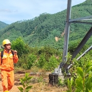 Đảm bảo truyền tải điện an toàn, liên tục, ổn định khu vực tỉnh Bình Định mùa nắng nóng