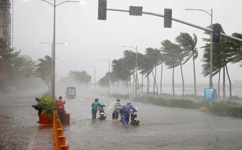 Thủ tướng Chính phủ yêu cầu tập trung ứng phó bão số 1 và mưa lũ