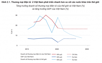 Việt Nam đang ở đâu trong cuộc đua số: (Kỳ 1) Những lợi thế chính của kinh tế số