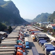 loi di nao cho xuat khau trong dai dich covid 19