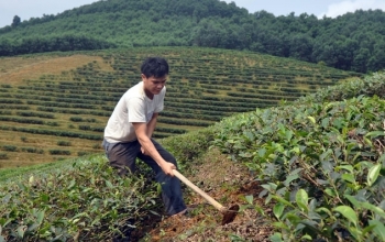 suc tre mang lai mau xanh hy vong