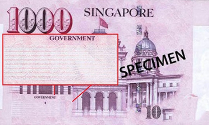 9 dieu doc nhat vo nhi chi co o singapore