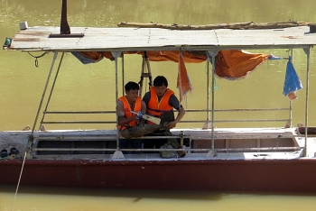 chuyen nhung nguoi bat benh ong troi