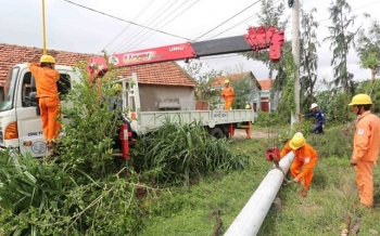hoa vang tren xu nau