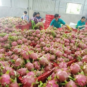 ai duoc huong loi nhieu nhat