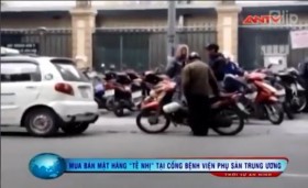 [VIDEO] Thâm nhập "chợ buôn giống nòi" tại Hà Nội