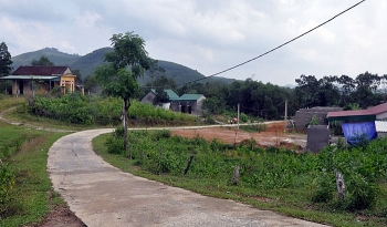 nhung ngoi nha vang nguoi tre