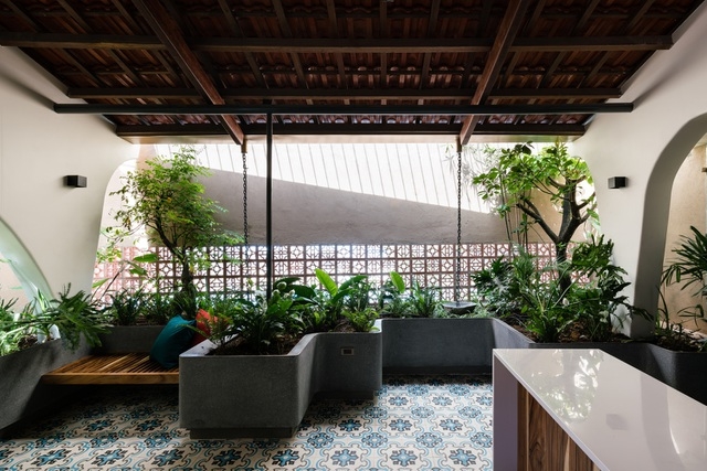 Mê mẩn nhà mái gỗ tuyệt đẹp, có sân thượng xanh mướt đủ loại cây ở Vũng Tàu Mê mẩn nhà mái gỗ tuyệt đẹp, có sân thượng xanh mướt đủ loại cây ở Vũng Tàu