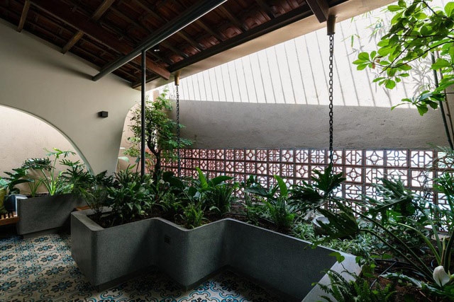 Mê mẩn nhà mái gỗ tuyệt đẹp, có sân thượng xanh mướt đủ loại cây ở Vũng Tàu Mê mẩn nhà mái gỗ tuyệt đẹp, có sân thượng xanh mướt đủ loại cây ở Vũng Tàu