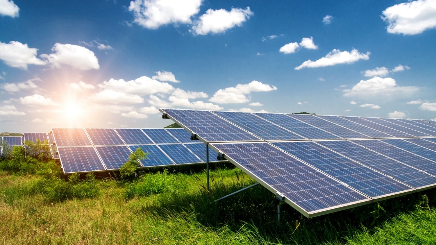 Engie và P&G hợp tác trong dự án năng lượng mặt trời mới ở Texas