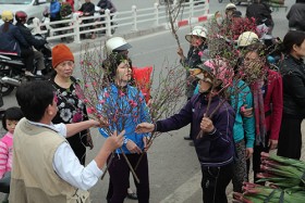 Hà Nội: Náo nhiệt chợ hoa xuân