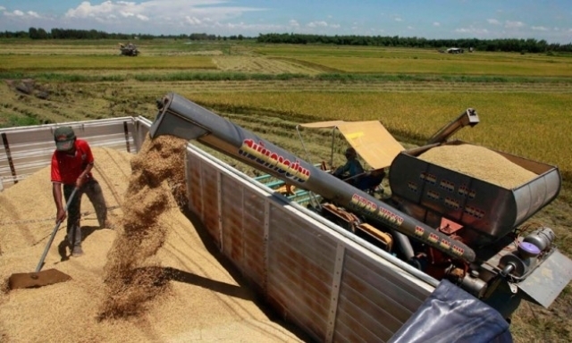Thái Lan tăng cường sử dụng nhiên liệu sinh khối từ đường và gạo