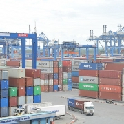 xuat khau hua hen dot pha 300 ty usd