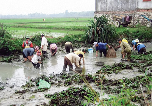 chuyen tet thoi bao cap tat ca an tet