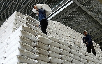 Bộ Công Thương ban hành hạn ngạch nhập khẩu gạo và thuốc lá từ Campuchia
