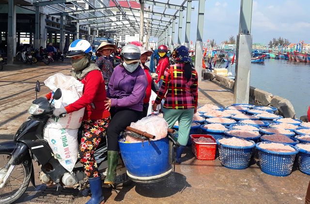 Ngư dân Bình Định trúng lớn “lộc biển”, kiếm tiền triệu chỉ vài giờ ngu dan binh dinh trung lon loc bien kiem tien trieu chi vai gio