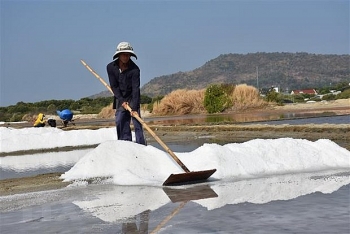 Xuất cấp muối trắng hỗ trợ người dân Hà Tĩnh bị thiên tai