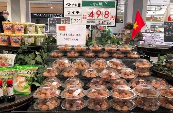 海外のベトナム人がオンラインでベトナムの農産物を日本市場に持ち込む