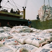 Tin tức kinh tế ngày 7/8: Xuất khẩu gạo của Thái Lan tăng mạnh