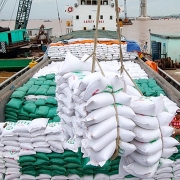 Tin tức kinh tế ngày 16/10: Xuất khẩu gạo tăng 3 tháng liên tiếp
