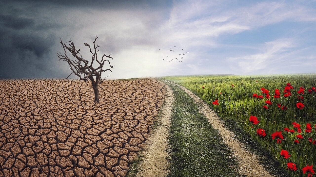 Bốn cách thích ứng với biến đổi khí hậu để sinh tồn và phát triển