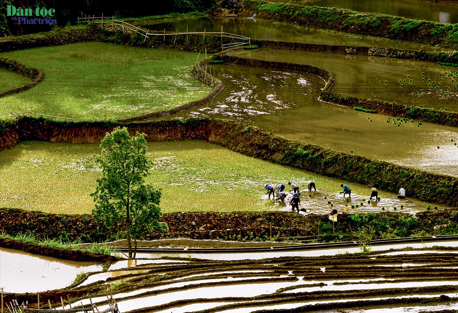 Tả Lèng đẹp như tranh mùa nước đổ