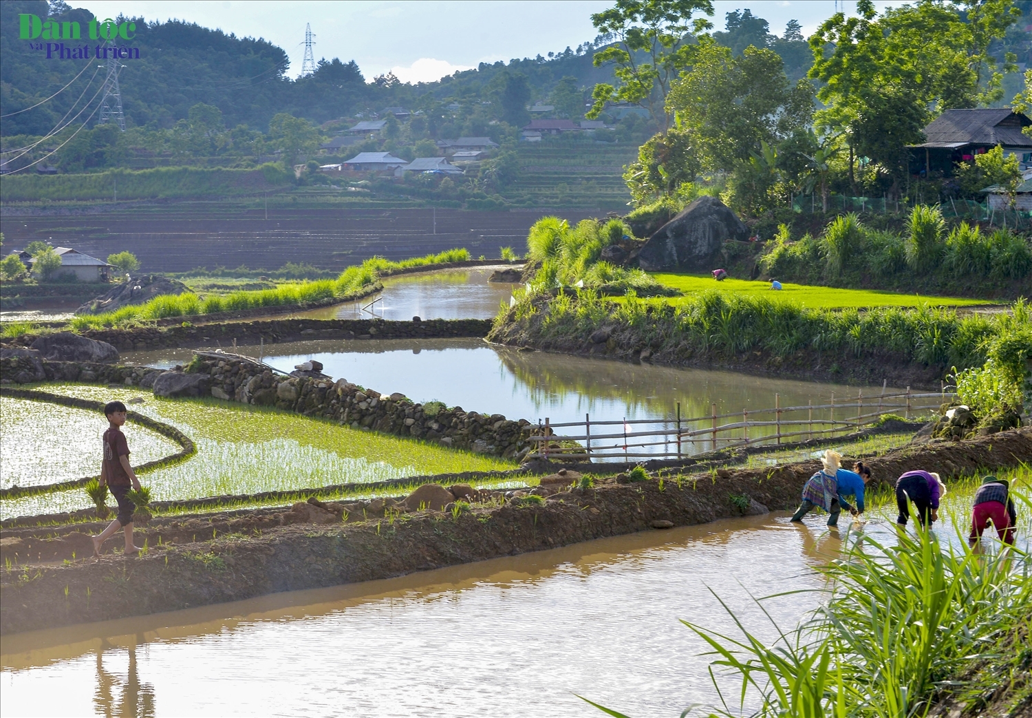 Tả Lèng đẹp như tranh mùa nước đổ