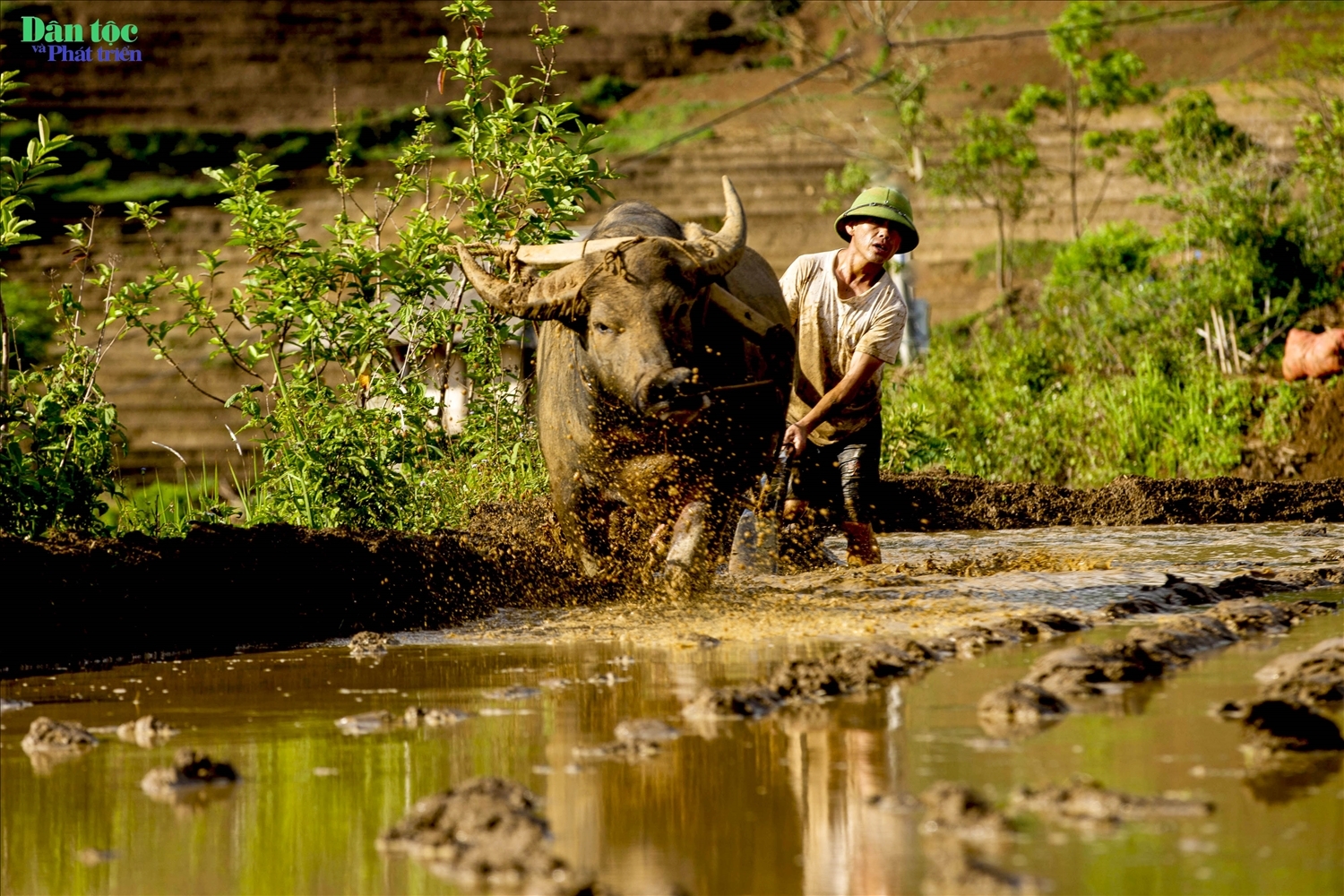 Tả Lèng đẹp như tranh mùa nước đổ