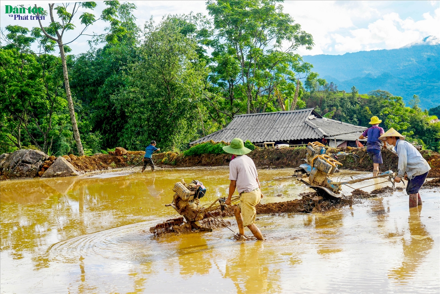 Tả Lèng đẹp như tranh mùa nước đổ